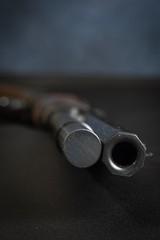 Browning 1886 45-70 - 9 of 9