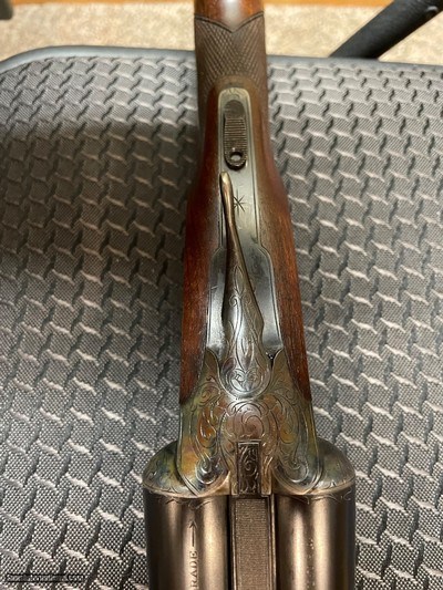 LC SMITH HUNTER ARMS SPECIALTY GRADE 12 GAUGE MINT