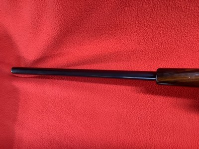 NIKKO GOLDEN EAGLE MOD. 7000 IN 458 WIN. MAG. CAL. - Image 15 of 15