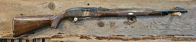 Remington Model: 66
Cal: 22