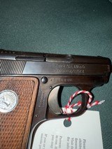 Colt Junior - 2 of 4