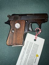 Colt Junior - 4 of 4