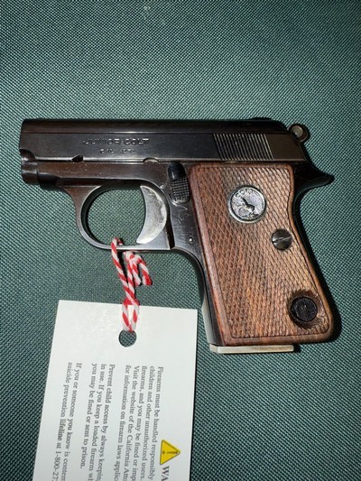 Colt Junior