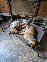 Montana rifle 3x6 creedmoor - 8 of 15