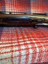 Sako deluxe 85270 Win. - 15 of 15