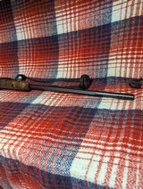 Tikka T3X rough tech - 3 of 11