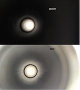 Winchester Model 21, 16 ga - Deluxe - 15 of 15