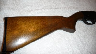 Winchester Model 190 .2 2 caliber Semi-automatic Rifle