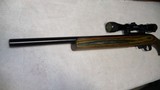 RUGER 10/22 Bull Barrel Laminated Stock/Scope - 12 of 15