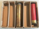 4 Bore Ammo, Rifle and Shotgun - 4 of 7