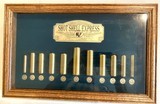 Cartridge Collection Display, Brass Shotgun Shells, Assorted Gauges