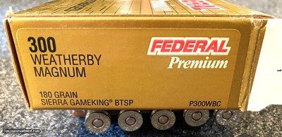 300 Weatherby Magnum, Federal Game King 180 Grain BTSP