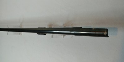 Remington 1100 12 Gauge 28