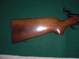 Superb Winchester Model 75 Target - 2 of 15