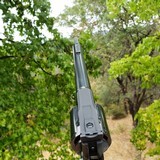 1969 Colt trooper Excellent to Mint - 10 of 15