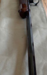 Browning 1885
.243 Low Wall Beautiful! - 8 of 13