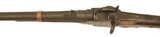 Starr M1858 Carbine - 8 of 9