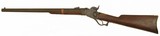 Starr M1858 Carbine - 1 of 9
