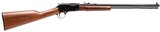 Henry Pump Action Rifle in .22 Mag