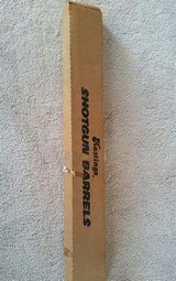 FS Hastings Paradox (#1401140) Remington 1100, 24