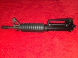 Colt 11.5