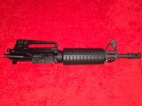 Colt 11.5