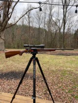 Interarms Mark X 22-250 - 2 of 6 Interarms Mark X 22-250 - 2 of 6