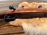 Winchester Model 70 .375H&H - 6 of 9