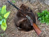 Marlin 39 ** Factory Deluxe ** .22LR