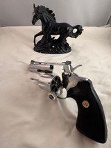 1983 Colt 4 in Python polished stainless - 9 of 13