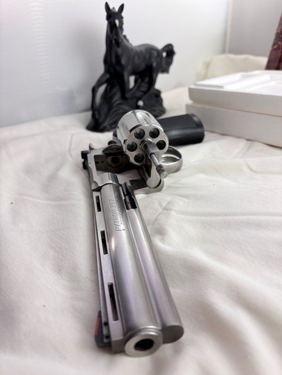 1985 Stainless Python 6