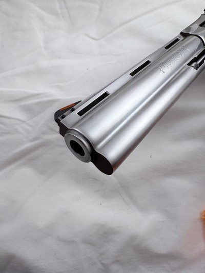 1985 Stainless Python 6