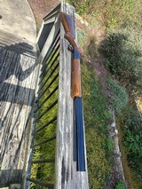 1961 Browning Superposed 20 Gauge Skeet 26” - 11 of 15