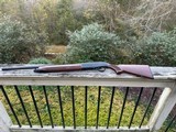 Beretta AL 391 Urika 20 Gauge - 11 of 13