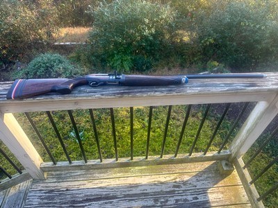 Custom Beretta A400 Excel 12 Gauge 30”