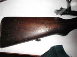 Siamese
mauser - 5 of 5