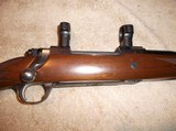 Ruger mod 77 hawkeye in 300win mag - 1 of 6