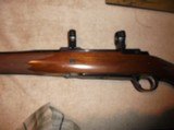 Ruger mod 77 hawkeye in 300win mag - 2 of 6