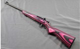Keystone Sporting~ Crickett~ .22 S/L/LR - 2 of 12