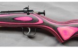 Keystone Sporting~ Crickett~ .22 S/L/LR - 10 of 12