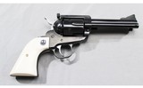 Ruger~ Blackhawk~ .45colt/.45ACP