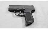Sig Sauer~ p365~ 9mm - 1 of 1