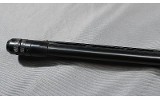 Sears~ 21~ 20 ga - 8 of 12