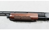 Browning~ BPS field~ .410 - 9 of 12