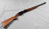 Winchester~ 290~ .22 S/L/LR - 1 of 12