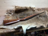 Winchester Model 88 chambered in 284 Win - 12 of 15