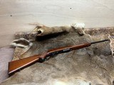 Winchester Model 88 chambered in 284 Win - 3 of 15