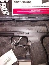 Sig P 365 X - 3 of 3