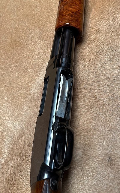 1960 Winchester Model 12 Black Dimond - Image 8 of 8