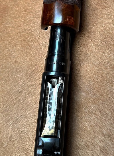 Winchester Model 12 Pigeon Grade 20 gauge, Rare B Style carved wood - Image 6 of 11